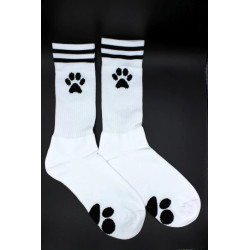 Sk8erboy Socks Puppy Sk8terboy